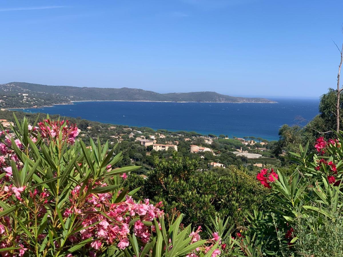 Villa Cacharelle Vue Mer Piscine Cavalaire-sur-Mer Exterior photo